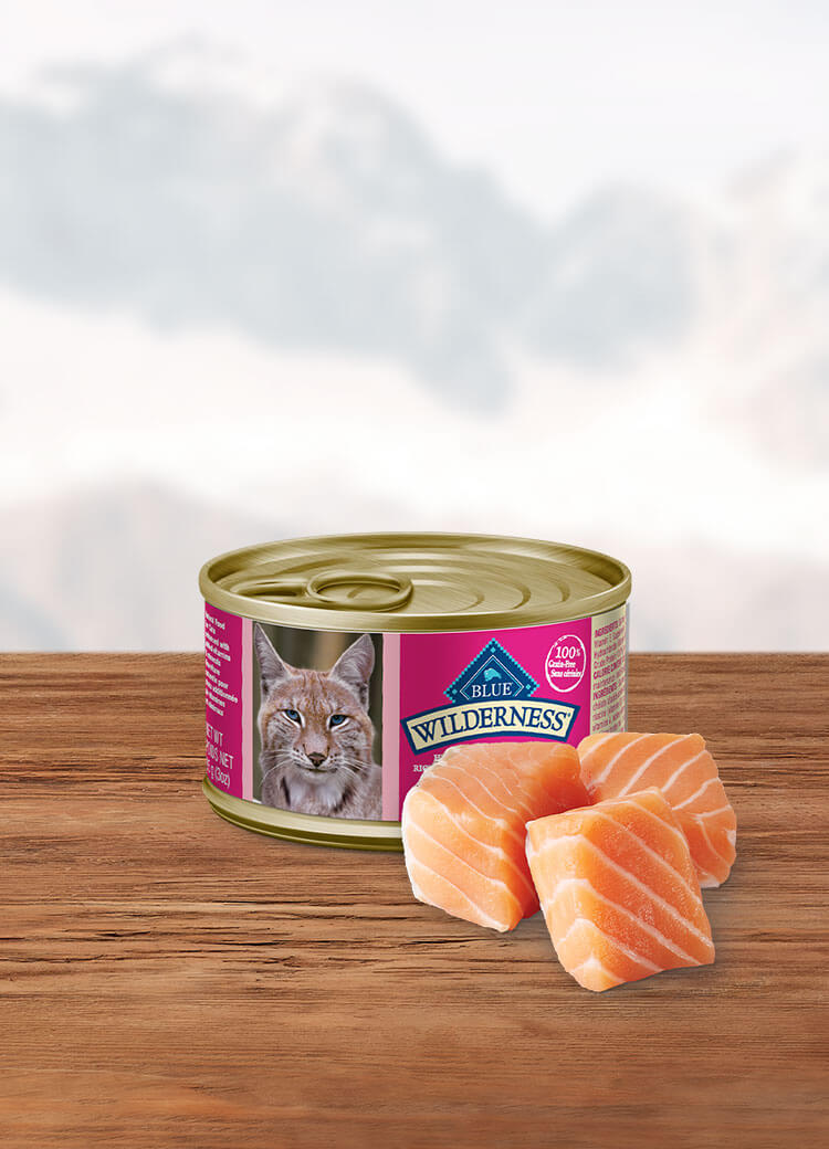 Canada Wild salmon adult wet cat food