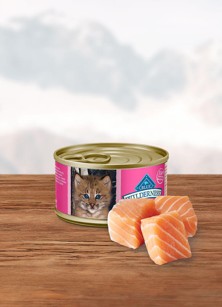 Canada Wild salmon kitten wet cat food