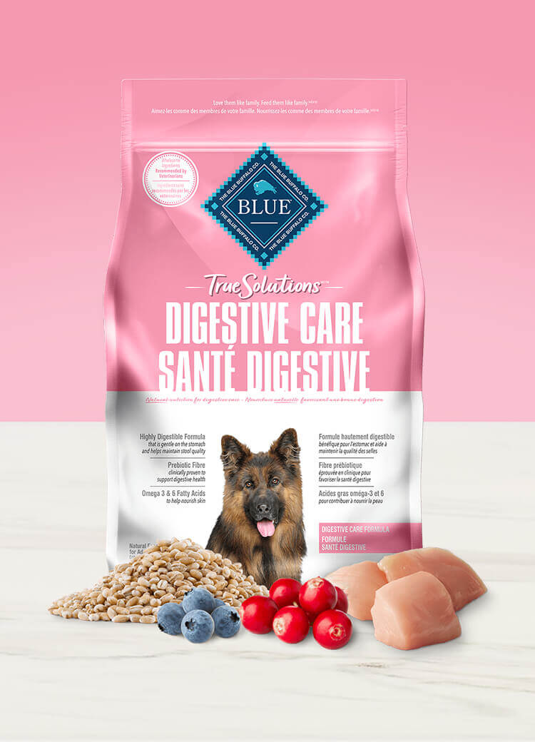 true solutions dry digestive care dog food can