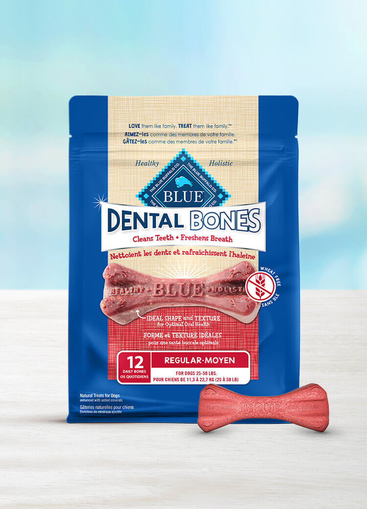 Canada LPF Dental Bones regular dog treats