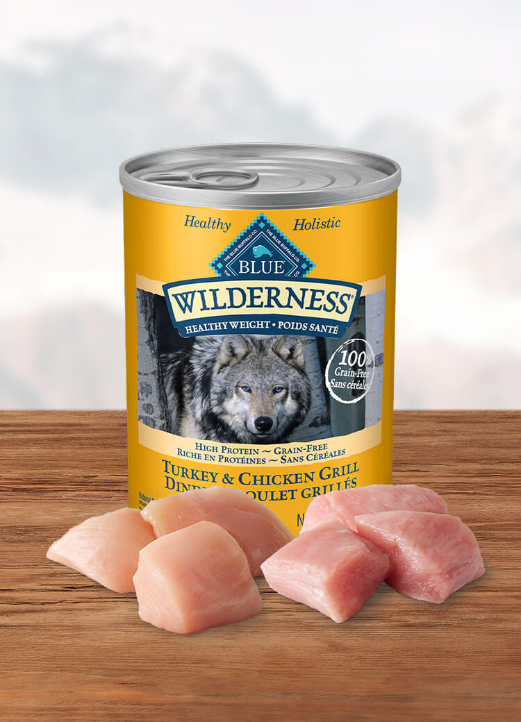 Canada Wilderness healthy weight turkey and chicken adult canned wet dog food