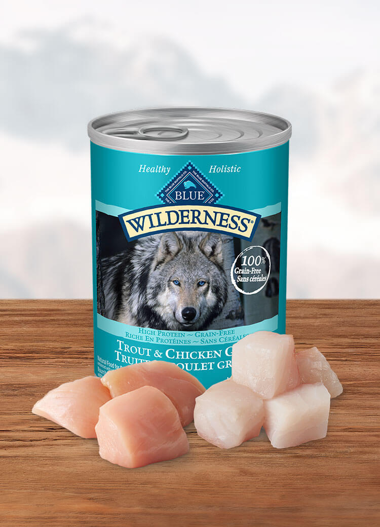 Canada Wilderness trout and chicken adult canned wet dog food