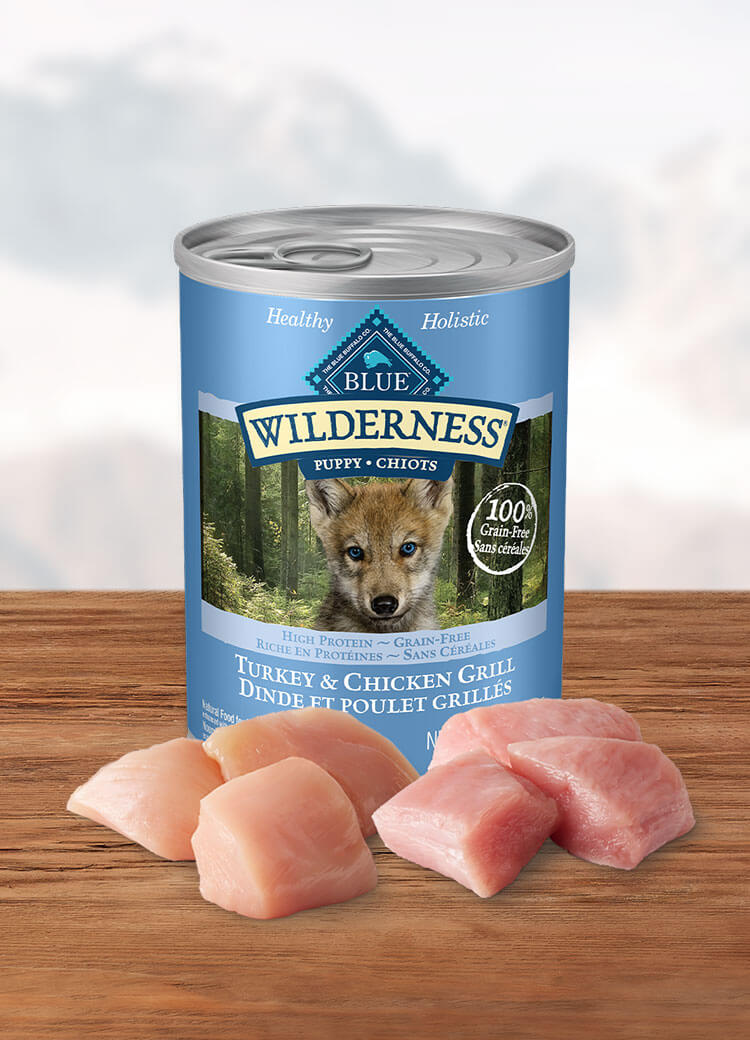 Canada Wilderness turkey and chicken puppy canned wet dog food