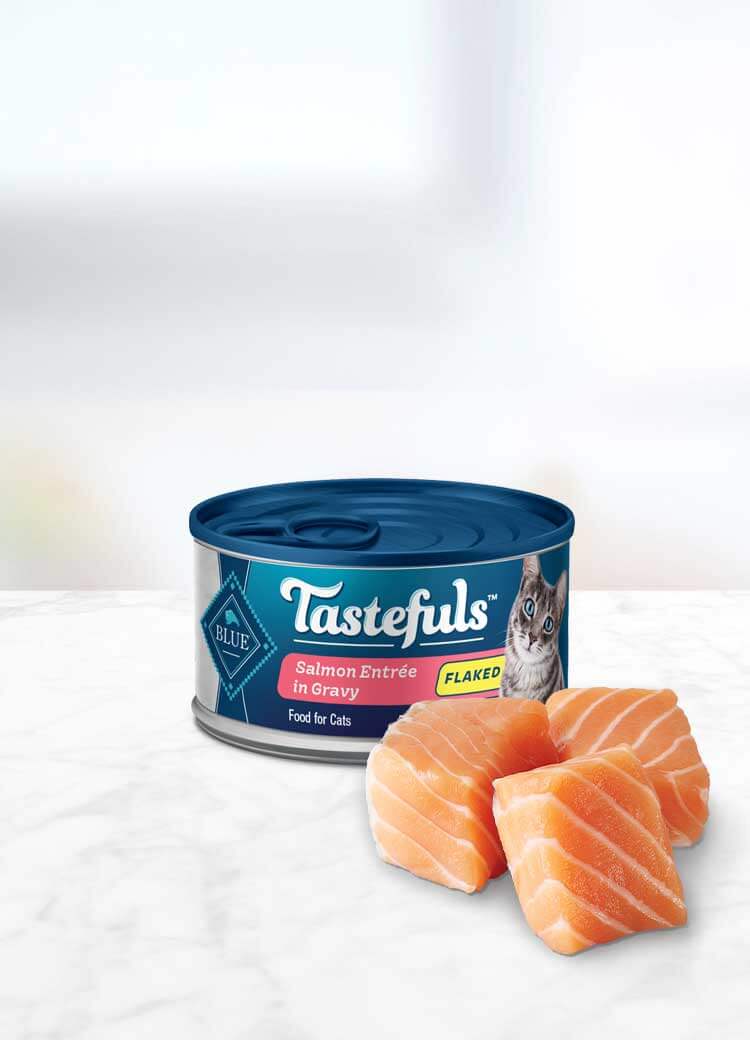 can of Tastefuls Salmon Flake Adult wet cat food with ingredient
