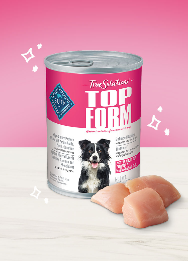 True Solutions topform wet dog food