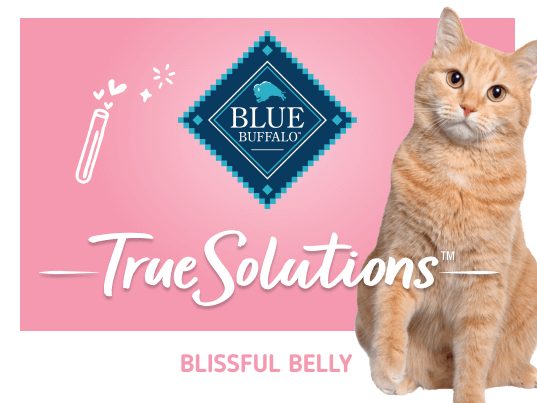 blue true solutions blissful belly digestive care cat wet food