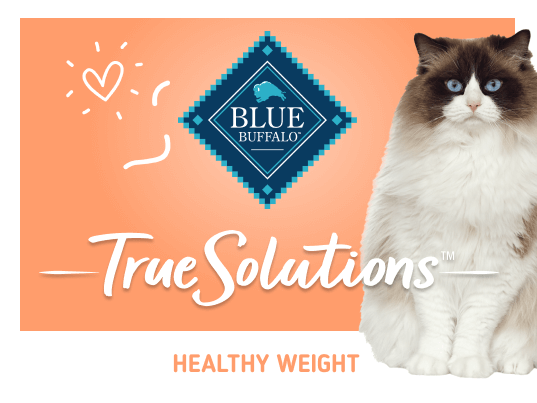 blue true solutions healthy weight control cat dry food