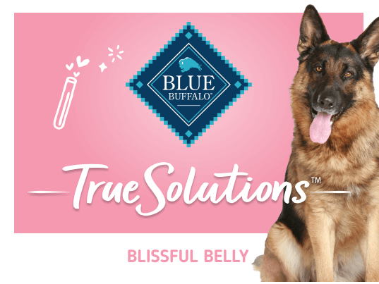 blue true solutions blissful belly digestive care dog wet food