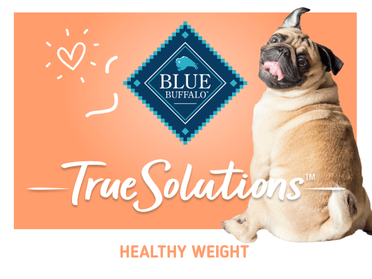 blue true solutions healthy weight control dog wet food
