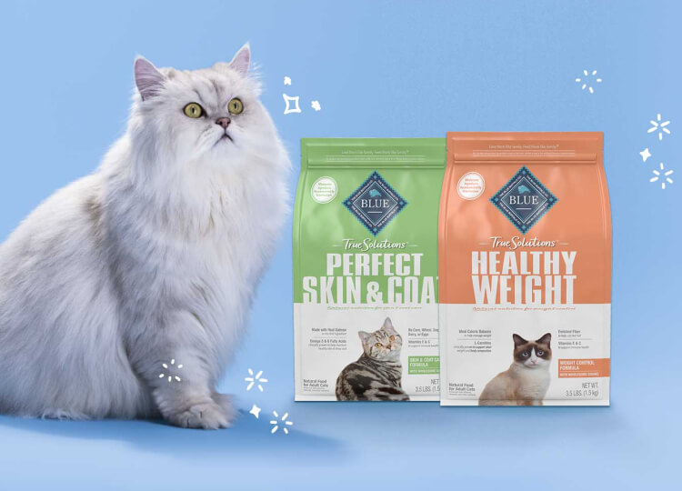 image of cat with dry cat food bags