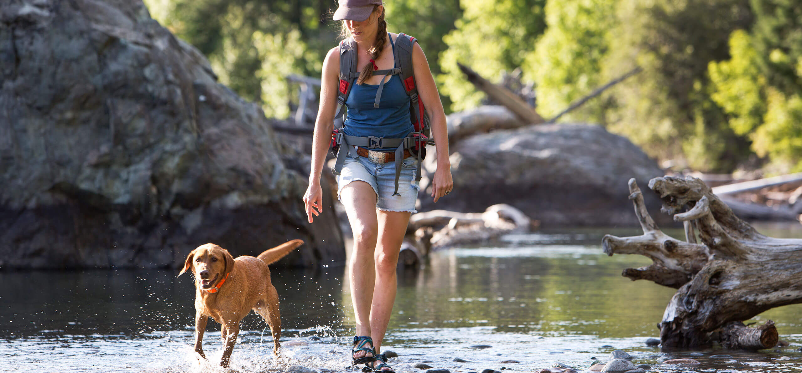owner and dog walking through a creek