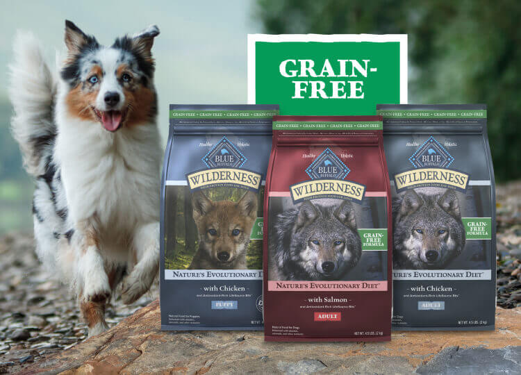 Bags of Blue Wilderness grain-free and high-protein recipes with dog