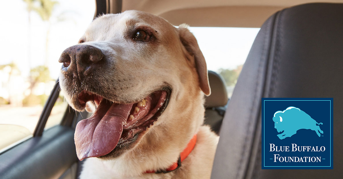 blue buffalo foundation