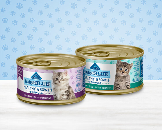 Baby BLUE All Natural Kitten Food