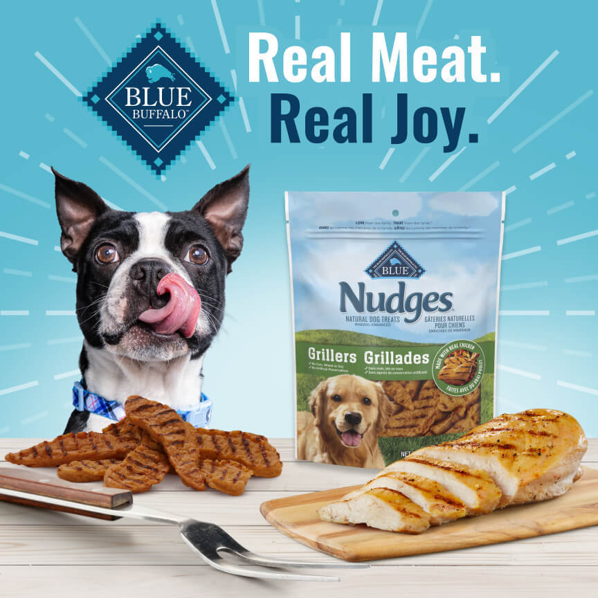 Blue buffalo dog food samples best sale