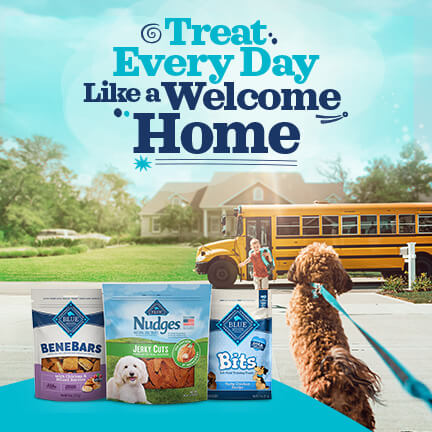 Share special moments with healthy BLUE.