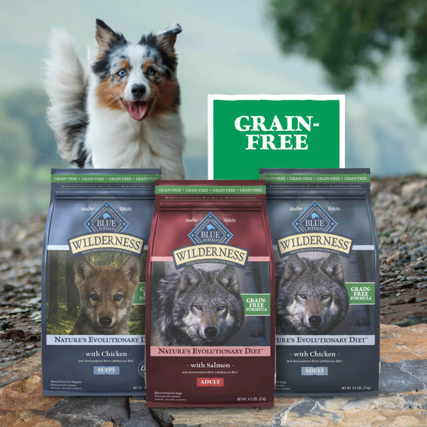 Blue Buffalo Natural Healthy Dog Foods Cat Foods Treats