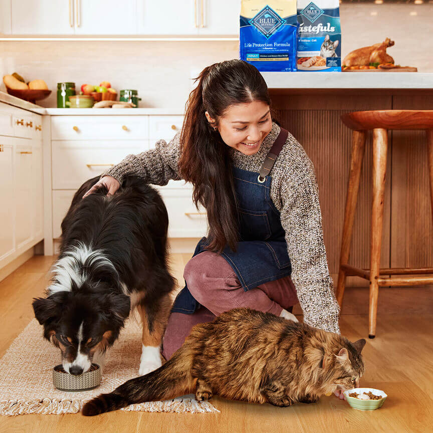 A Pet Parent is smiling and crouching, watching her dog and cat eat in their kitchen.