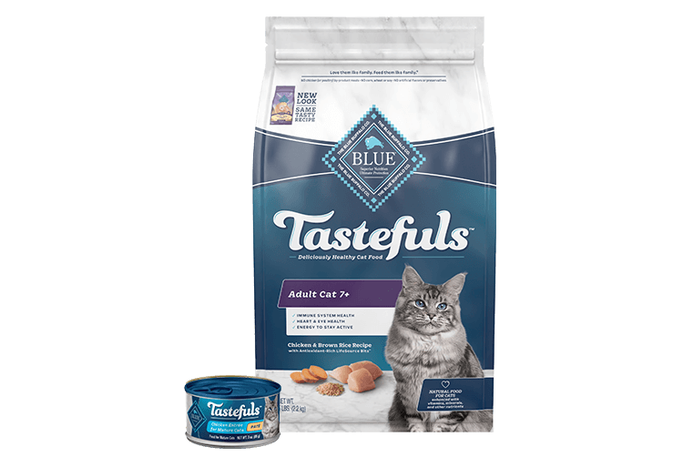 Blue buffalo diabetic cat food discount