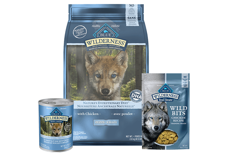 What Is The Healthiest Dog Food For Puppies