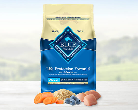 BB Salmon Product