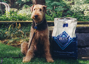 Blue buffalo dog food phone number best sale