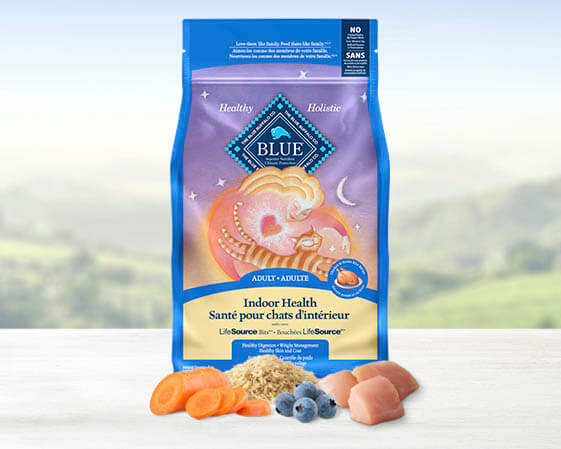 bag of Blue Buffalo dry cat food