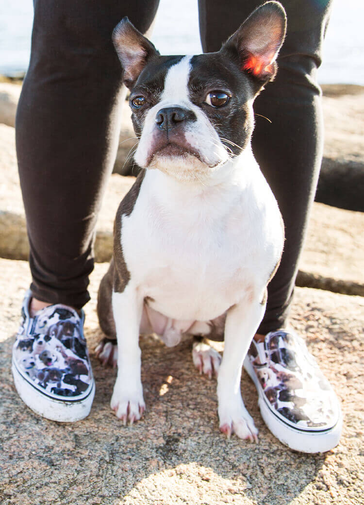 dog sitting between person's feet on shore