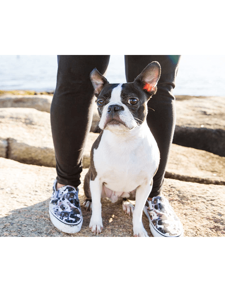 dog sitting between person's feet on shore