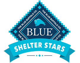 shelter_stars_logo.png