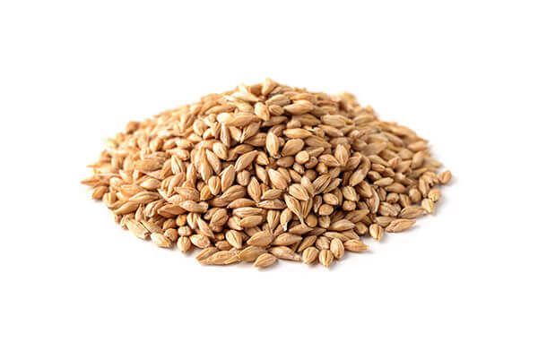 pearled barley