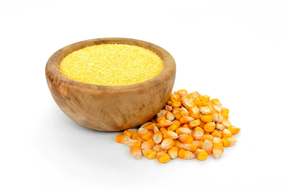 Corn Gluten Meal