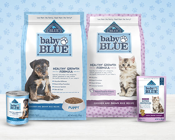 Where Is Blue Buffalo Dog Food Made? Brand Facts & FAQ