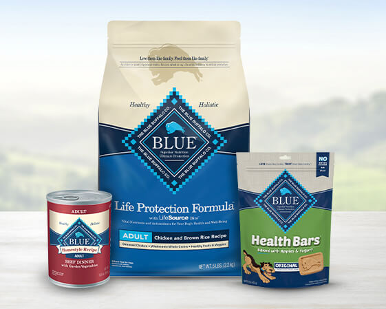 Where Is Blue Buffalo Dog Food Made? Brand Facts & FAQ