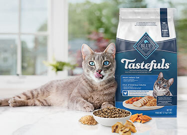 BLUE Tastefuls Dry Cat Food