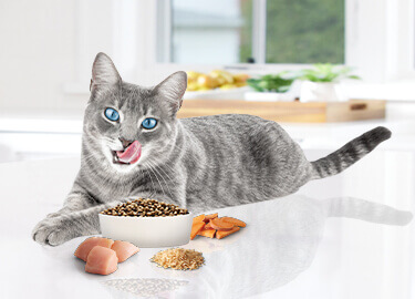 BLUE Tastefuls Dry Cat Foods Healthy Cat Foods Blue Buffalo