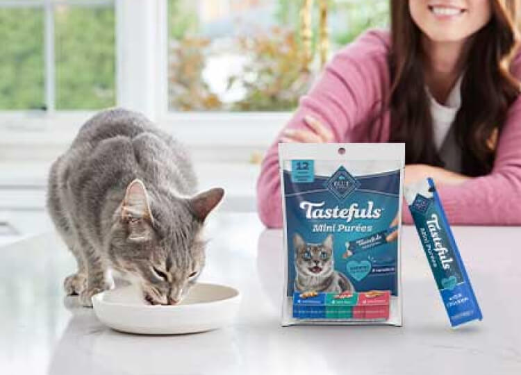 A gray cat is eating from a bowl on a kitchen counter as her pet parent watches in the background. There's a variety pack of BLUE Tastefuls Purées and one single-serve pouch next to the bowl. 