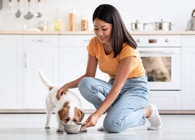 A woman feeding a Blue Tempting Toppers Adult Dog Wet food to her dog in a kitchen