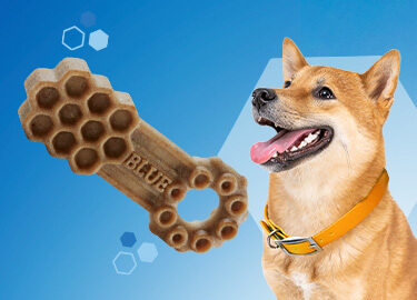 Dog Toys, Chews, and Dog Treats