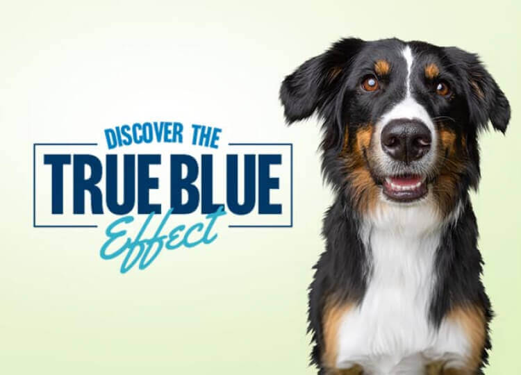 True Blue logo with dog