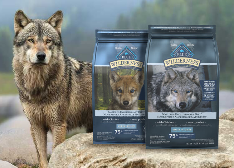 BLUE Wilderness High Protein Dry Dog Foods Blue Buffalo