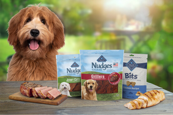A brown dog with long fur sticks out its tongue, sitting behind three neatly arranged bags of Blue Buffalo dog treats and cuts of fresh meat featured in the treat recipes.
