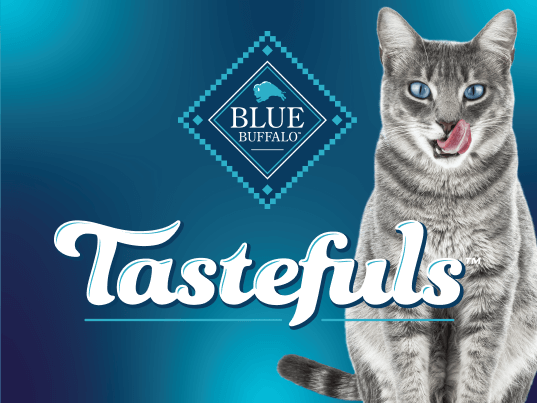 blue tastefuls purées with salmon cat wet food