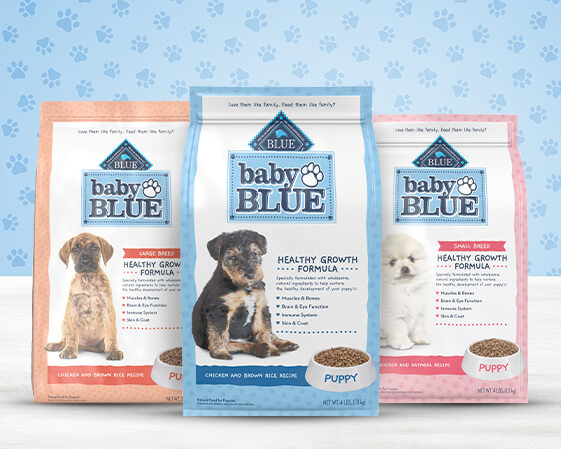 Allintitle:Best Dry Dog Food for Small Dogs: Expert Recommendations