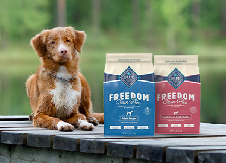 bags of blue freedom dry dog food