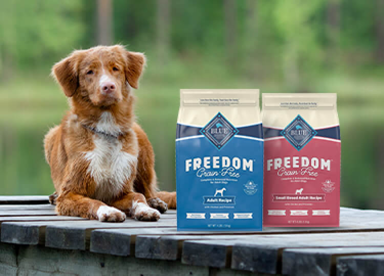 Blue buffalo freedom grain hot sale free