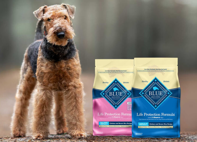 bags of blue life protection formula dry dog food