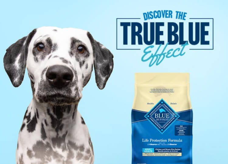 True Blue Effect Logo with Dog and Dog Food: A high-quality dog food that promotes a healthy coat and overall well-being