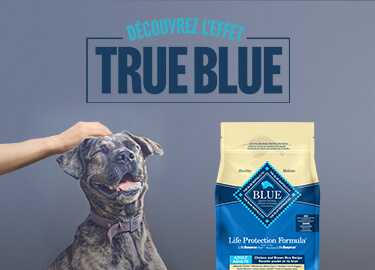 True Blue logo with dog