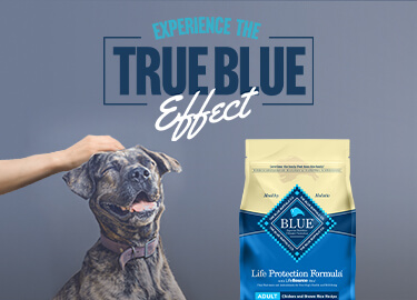 True Blue Effect logo with dog